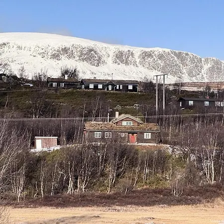 Amazing In