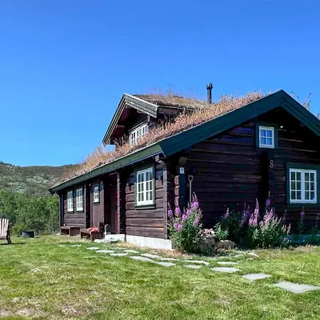 Amazing In Ustaoset